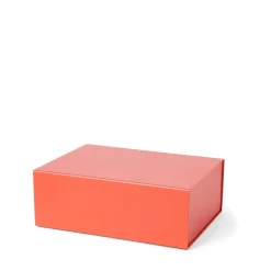 Box Ted L 33x24cm Orange