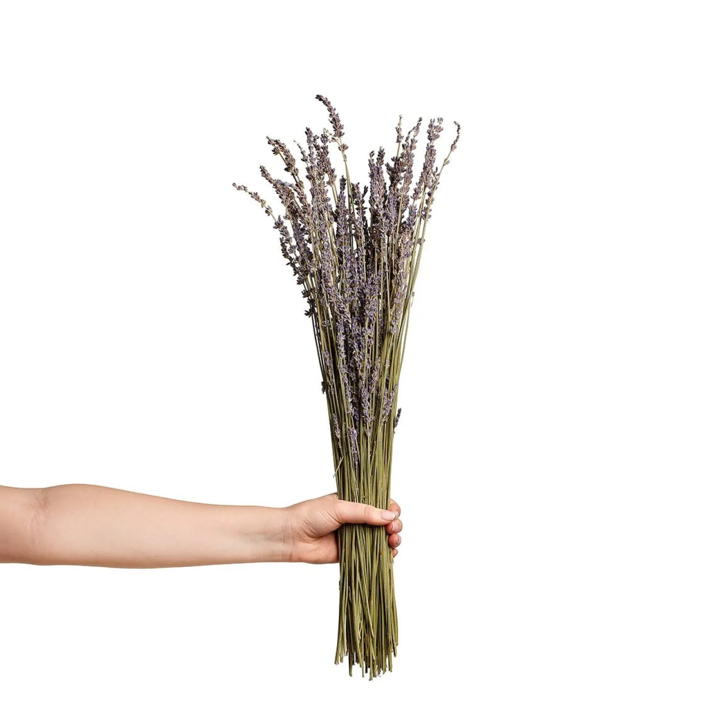 Bukett Lavendel Torkad 40cm