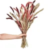 Bukett Setaria 70cm Rost Mix